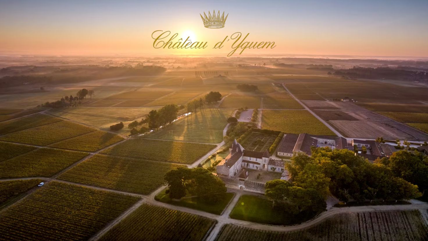 Chateau D'Yquem VINEYARD